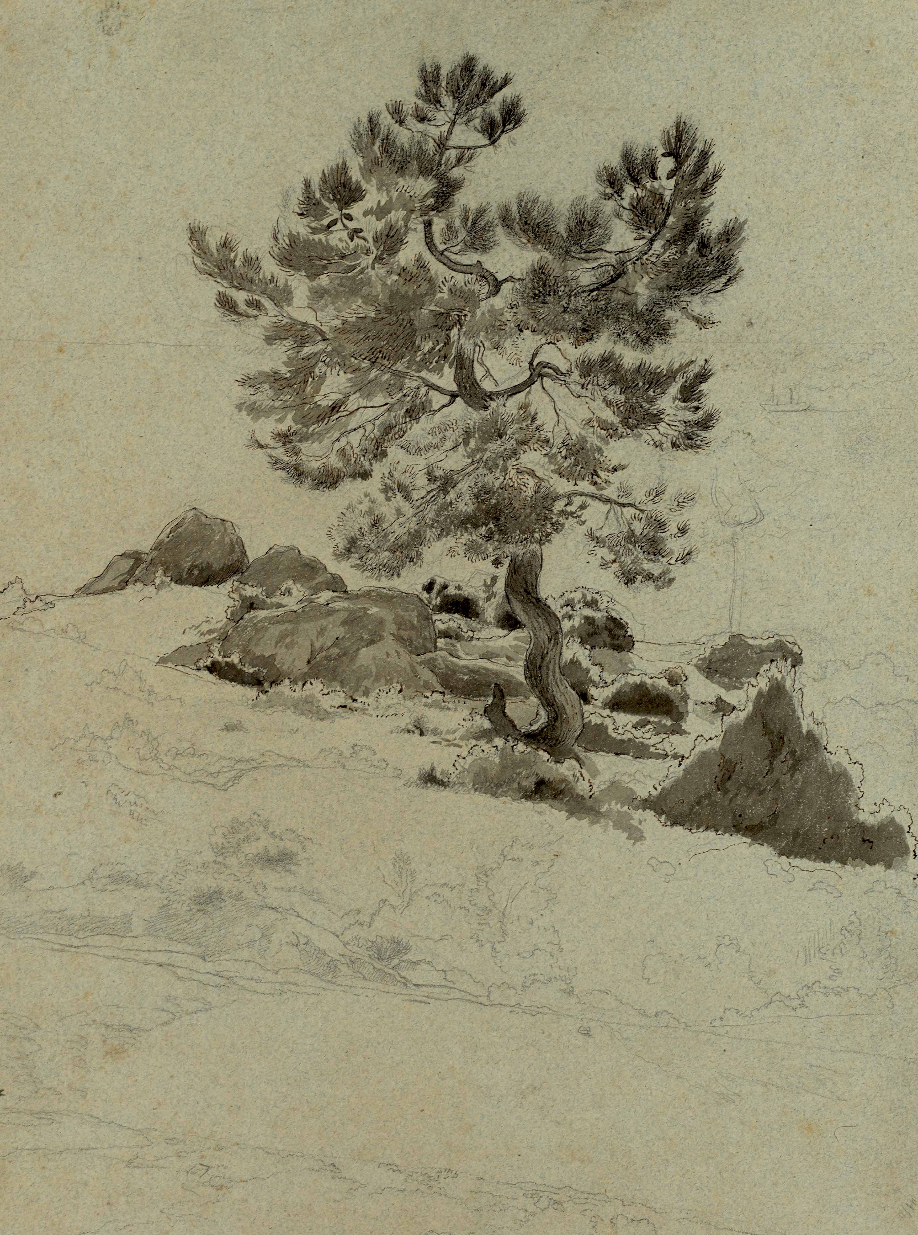Loaded image